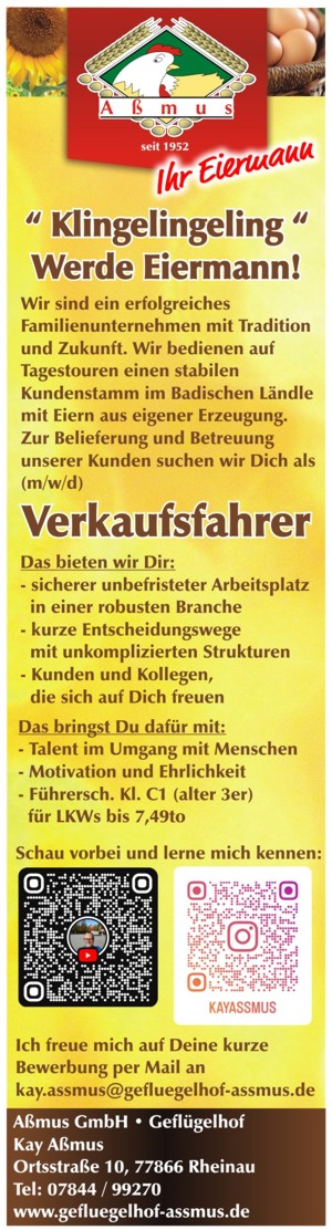 Verkaufsfahrer